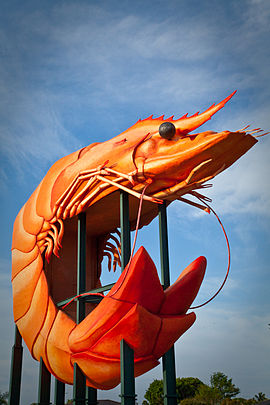 Ballina_BigPrawn3.jpg