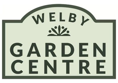Welby Garden Centre catalogue | Camellias, Azaleas & Rhododendrons | 25/03/2024 - 23/06/2024