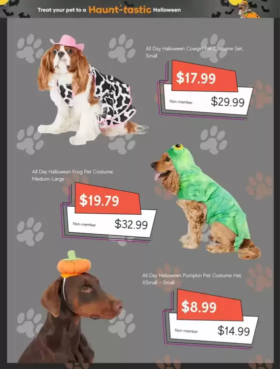 Petbarn catalogue in Sydney NSW | 40% Off | 15/10/2024 - 31/10/2024