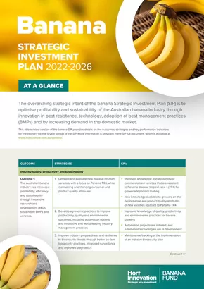 Groceries offers in Port Augusta SA | Banana Strategic Investment Plan in Australian Bananas | 03/12/2024 - 31/12/2026