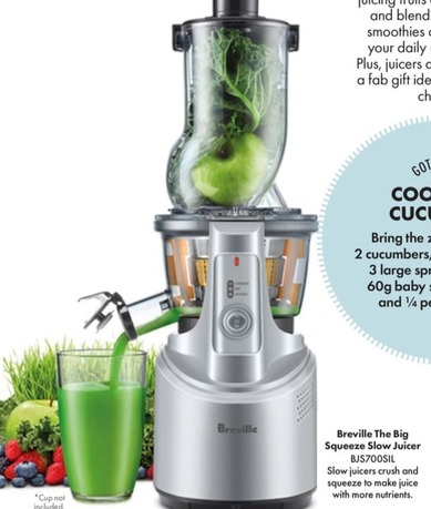 Breville The Big Squeeze Slow Juicer offers in The Good Guys