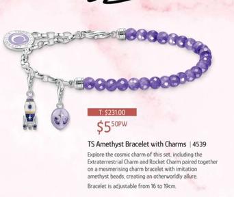 Ts Amethyst Bracelet With Charms | 4539 offers at $5.5 in Chrisco