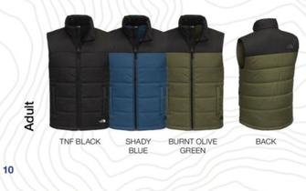 Everyday Insulated Vest offers at $112.5 in The North Face