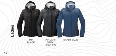 Ladies Dryvent Rain Jacket offers at $115 in The North Face