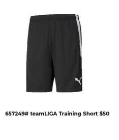 Teamliga Training Short offers at $50 in Puma