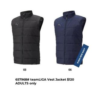 Teamliga Vest Jacket offers at $120 in Puma