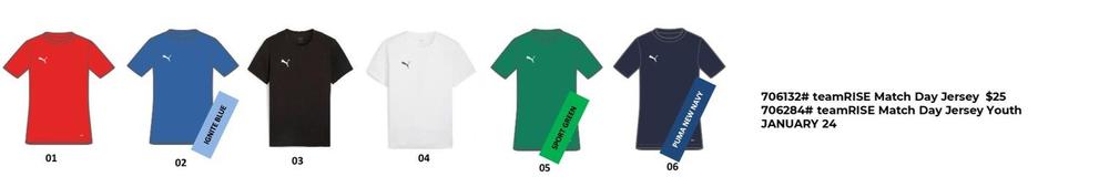 Teamrise Match Day Jersey offers at $25 in Puma