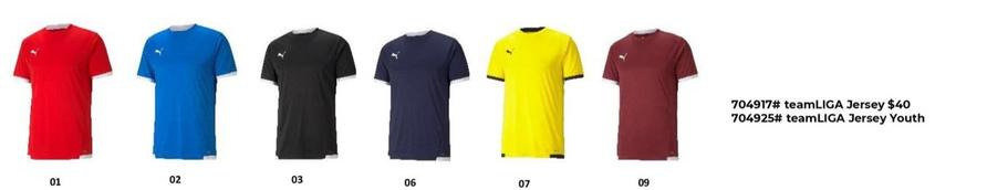 Teamliga Jersey offers at $40 in Puma