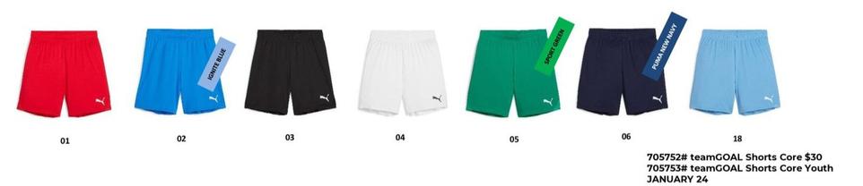 Teamgoal Shorts Core offers in Puma