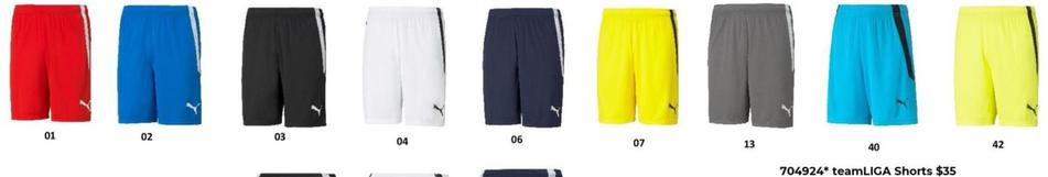 Teamliga Shorts offers at $35 in Puma