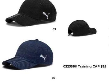 Puma Training Cap offers at $25 in Puma