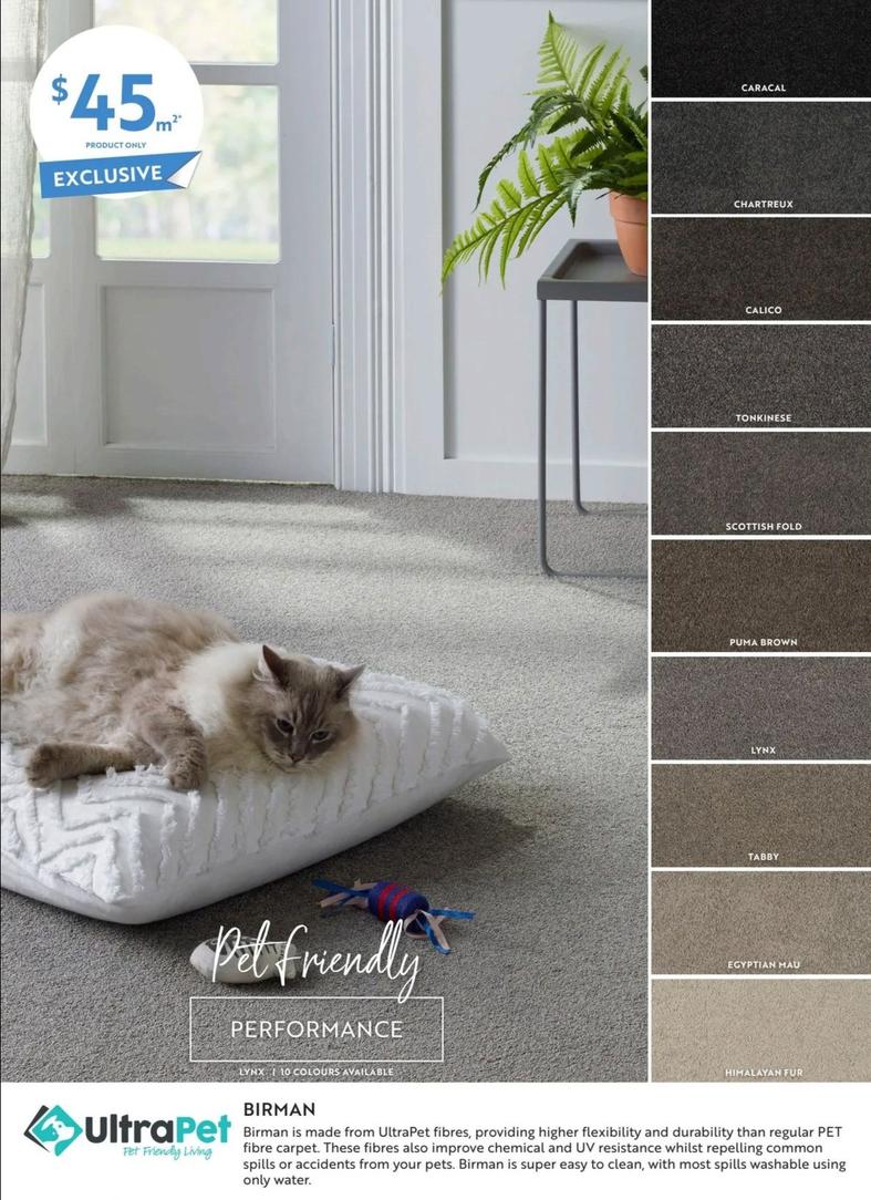 Birman offers at $45 in Carpet Court