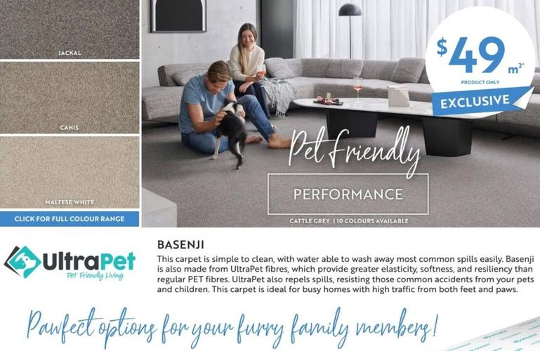 Basenji offers at $49 in Carpet Court