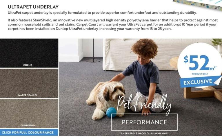 Shepherd  offers at $52 in Carpet Court