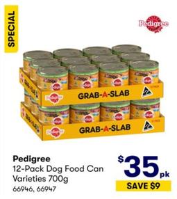 Pedigree - 12-Pack Dog Food Can Varieties 700g offers at $35 in BIG W