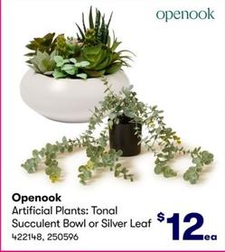 Openook - Artificial Plants: Tonal Succulent Bowl Or Silver Leaf offers at $12 in BIG W