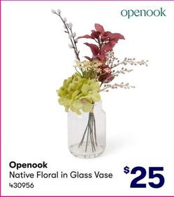 Openook - Artificial Native Floral In Glass Vase offers at $25 in BIG W