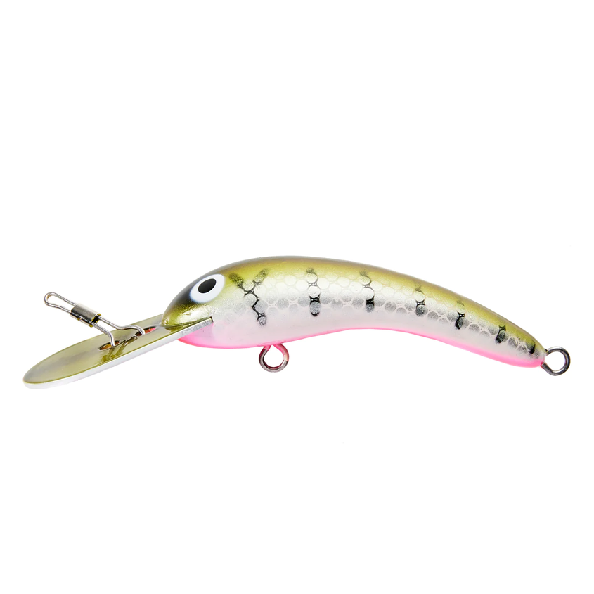 Live Native Woggaleye 130 Hard Body Lure offers at $24.99 in Compleat Angler