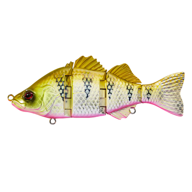 Live Native G-Nasty Swim Bait Lure offers at $19.99 in Compleat Angler
