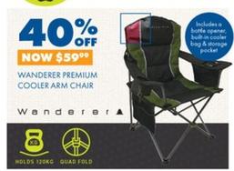 Wanderer - Premium Cooler Arm Chair offers at $59.99 in BCF