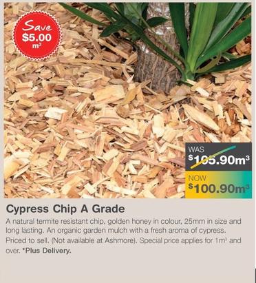 Cypress Chip A Grade offers at $100.9 in Nuway