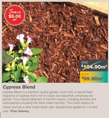 Cypress Blend offers at $99.9 in Nuway
