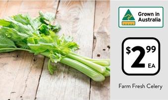 Farm Fresh Celery offers at $2.99 in Foodworks