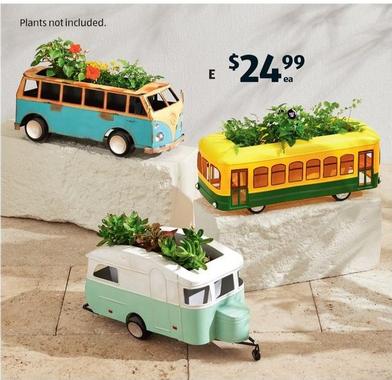 Decorative Planters offers at $24.99 in ALDI