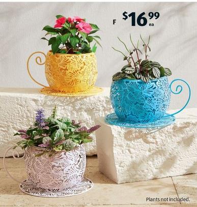 Tea Cup Planter offers at $16.99 in ALDI