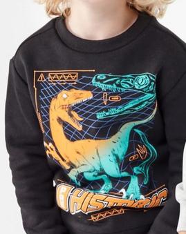 Print Crew Neck Sweatshirt offers at $8 in Kmart
