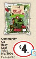 Community Co - Baby Leaf Salad Mix 300g offers at $4 in IGA