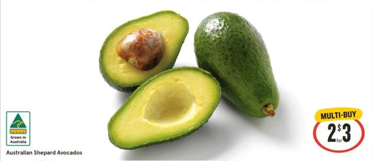 Australian Shepard Avocados offers at $3 in IGA