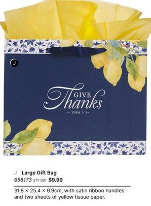  Large Gift Bag offers at $9.99 in Koorong