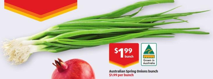 Australian Spring Onions Bunch  offers at $1.99 in ALDI