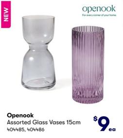 Openook - Assorted Glass Vases 15cm offers at $9 in BIG W