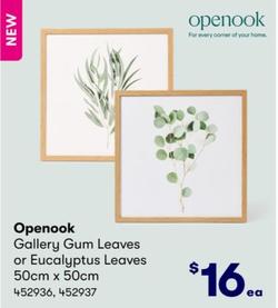 Openook - Gallery Gum Leaves or Eucalyptus Leaves 50cm x 50cm offers at $16 in BIG W