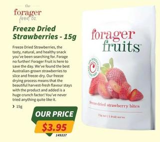 The Forager Food Co. - Freeze Dried Strawberries-15g offers at $3.95 in Tentworld