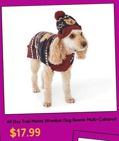All Day Trail Mates Wombat Dog Beanie Multi-coloured offers at $17.99 in Petbarn