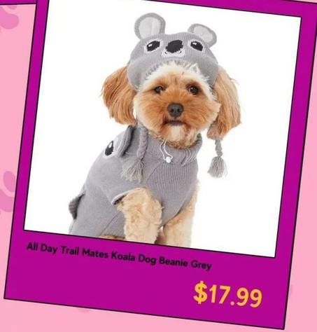 All Day Trail Mates Koala Dog Beanie Grey offers at $17.99 in Petbarn
