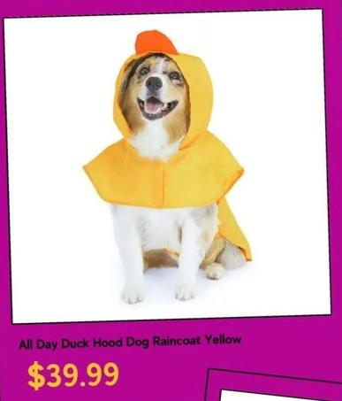All Day Duck Hood Dog Raincoat Yellow offers at $39.99 in Petbarn