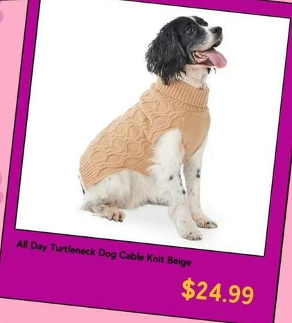 All Day Turtleneck Dog Cable Knit Beige offers at $24.99 in Petbarn