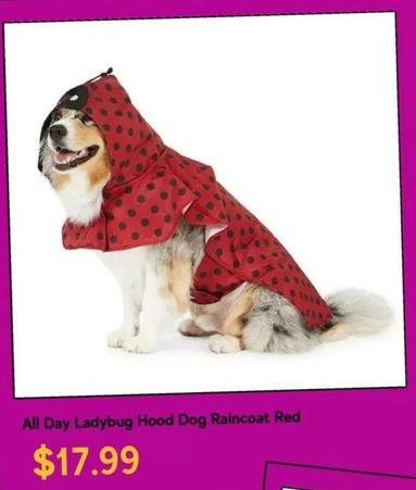 All Day Ladybug Hood Dog Raincoat Red offers at $17.99 in Petbarn