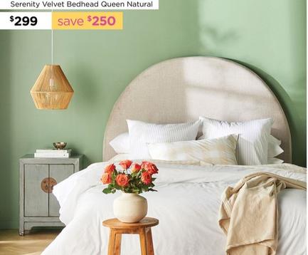 Serenity Velvet Bedhead Queen Natural offers at $299 in Early Settler