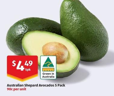 Australian Shepard Avocados 5 Pack offers at $4.49 in ALDI