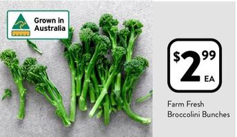Farm Fresh Broccolini Bunches offers at $2.99 in Foodworks