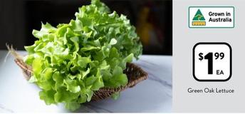 Green Oak Lettuce offers at $1.99 in Foodworks