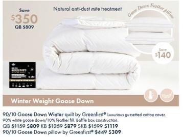 90/10 Goose Down Winter Quilt By Greenfirst offers at $809 in Pillow Talk