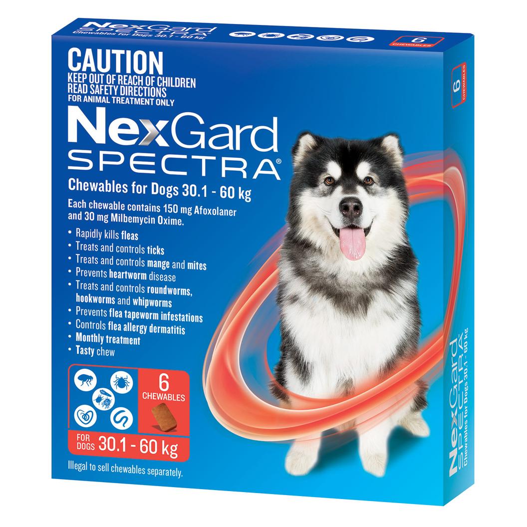 NexGard Spectra Chewables For Very Large Dogs Red 30.1-60kg 6 Pack offers at $94.99 in Budget Pet Products