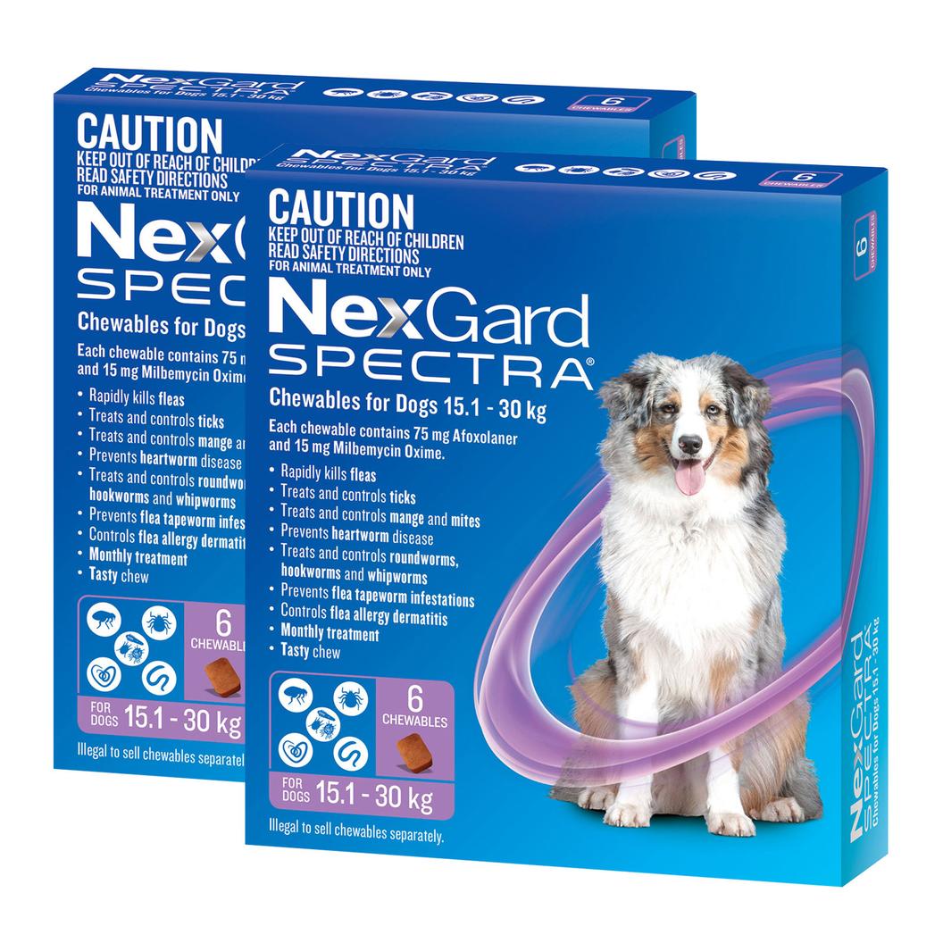 NexGard Spectra Chewables For Large Dogs Purple 15.1-30kg 12 Pack offers at $170.99 in Budget Pet Products