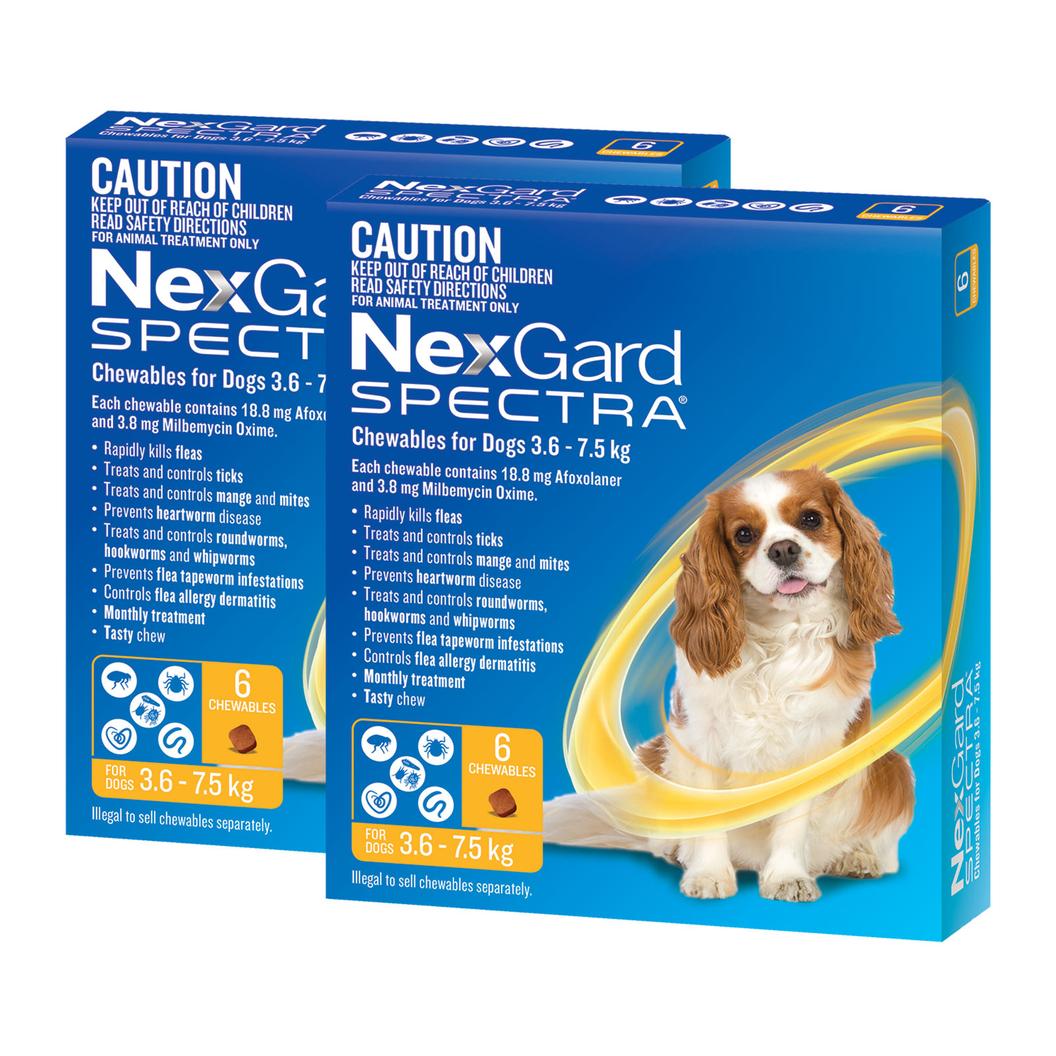 NexGard Spectra Chewables For Small Dogs Yellow 3.6 -7.5kg 12 Pack offers at $151.99 in Budget Pet Products